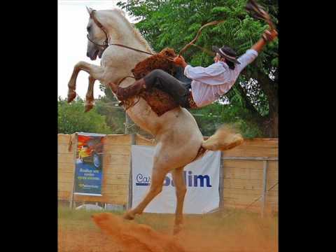 Ginetiadas Campeiras 1 .wmv