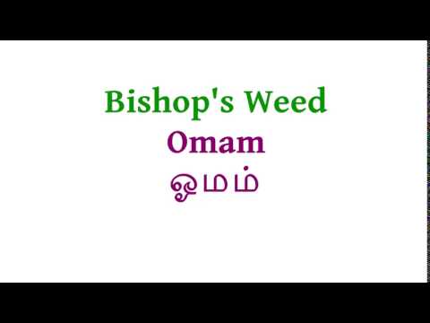 How to pronounce Bishop's Weed in Tamil