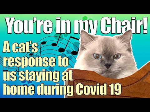 You're In My Chair - Grumpy Cats Singing Covid Song parody during our time at home!
