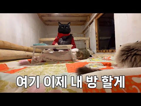 제 방이 넘 추워서 산골짝 고양이네 온돌방에 눌러 앉았습니다.