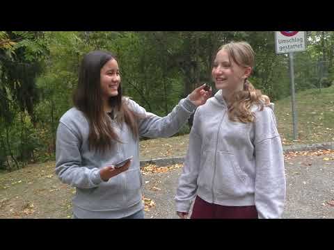 Video Teaser