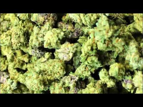 ESHenka-Joint smotan