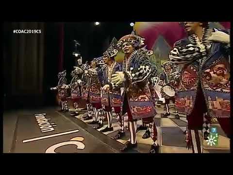 Primer pasodoble de cuartos de final " no me sale de los huevos " , comparsa " La Gaditanissima" .