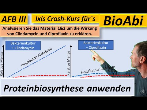 Protein Biosynthesis – Application Tasks 1b – AFB III - Suggested Solution - BioIxi - BioAbi - Be...