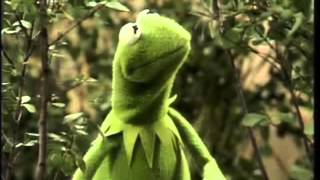 Kermit the Frog Sings Luke Bryan -  Huntin&#39;, Fishin&#39; and Lovin&#39; Every Day