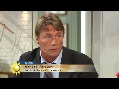 Thomas Bodström: Sämst tajmade flygstrejken någonsin - Nyhetsmorgon (TV4)