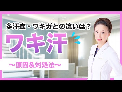 行政地図を見る