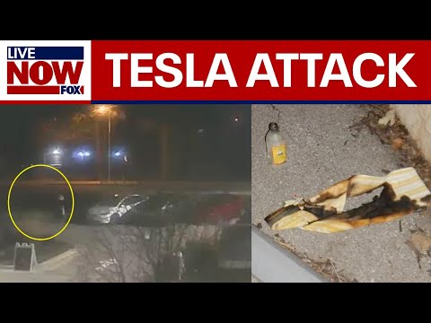 Video | College student arrested for Tesla facility attack | LiveNOW from FOX