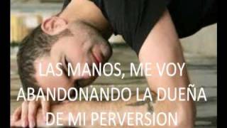 La Equilibrista Lyrics English Translation