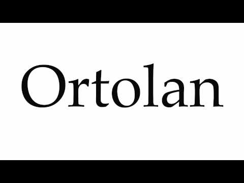 How to Pronounce Ortolan