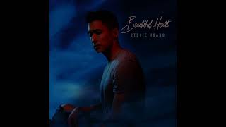 Stevie Hoang - Beautiful Heart (Lyrics Video)