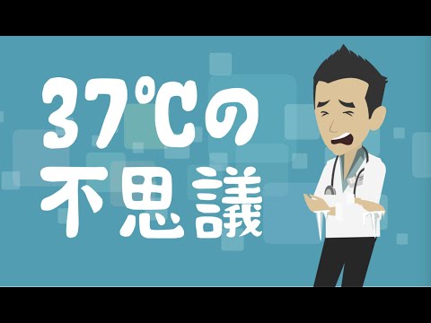 致死的な体温は何度ですか?決して地点に達してはいけない