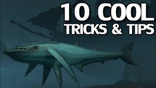 10 Cool WoW Tips & Tricks Part 4