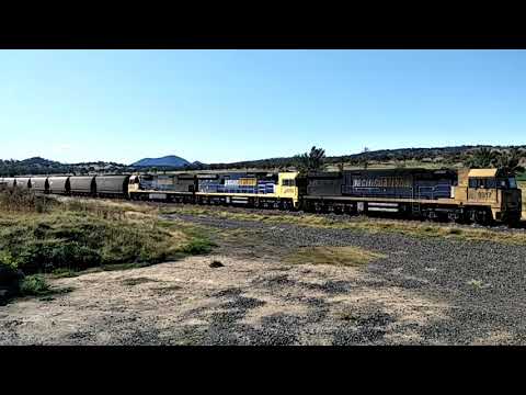 Coal train Quipolly NSW Pacific National
