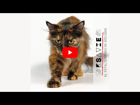 Nuevo single rock español | El total dominio de mis dias