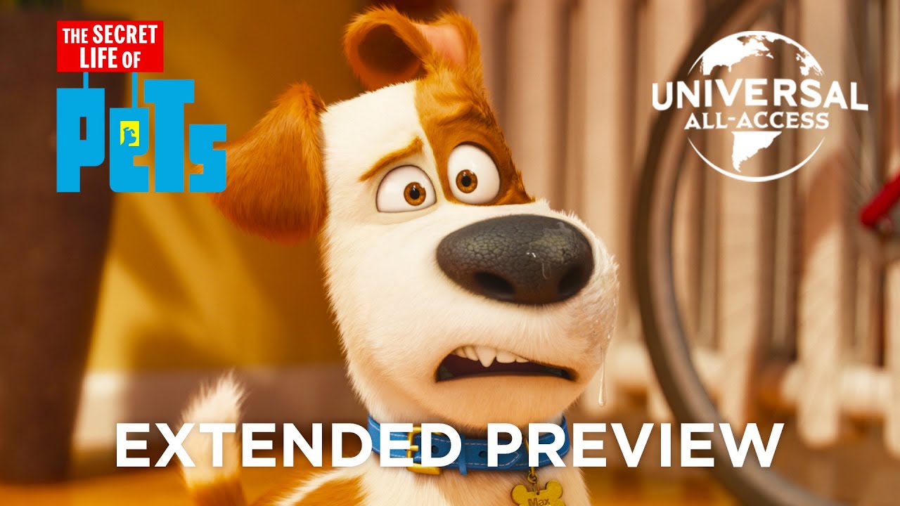 Miniature de la vidéo Max Doesn't Like His New Roommate - Extended Preview du film Comme des bêtes