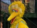 2808 Big Bird Wants To Play Basketball