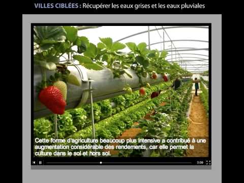 comment financer un projet agricole