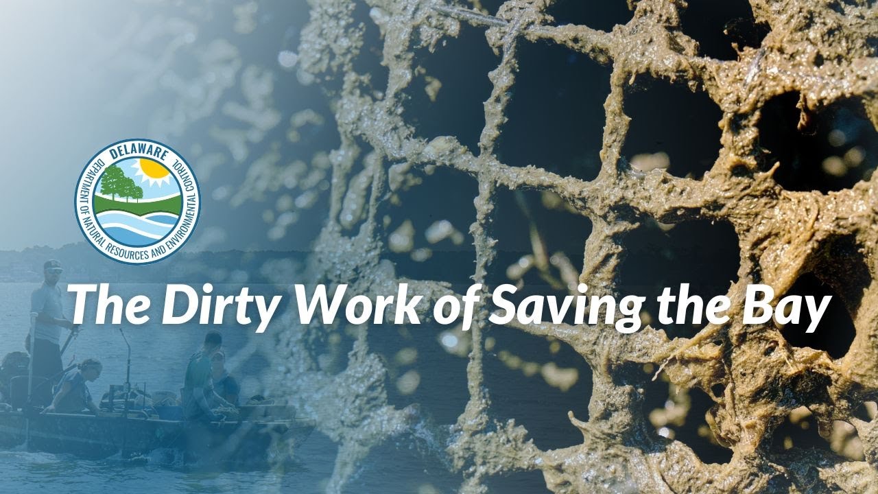 Hauling Up Ghost Pots: How We’re Cleaning Delaware’s Waterways