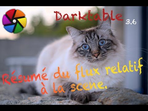 [FR] darktable Résumé du flux relatif à la scene.