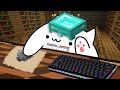 How To Download And Customize Bongo Cat Webcam