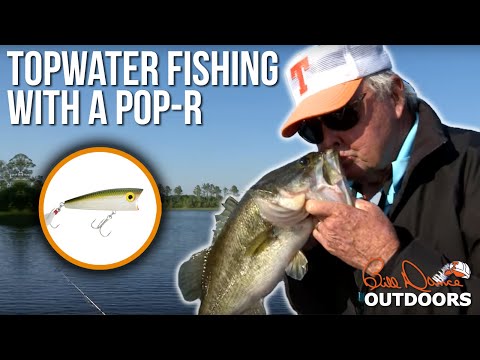 Topwater fishing with a Pop-R  | Bill Dance Outdoors