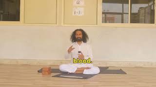 Download lagu Astavakrasana: Eight-Angle Pose || Om Shanti Om Yoga Ashram || Yogi Dinesh mp3