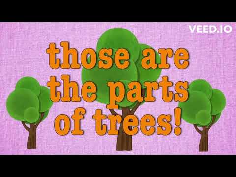 Roots, trunks, branches and leaves