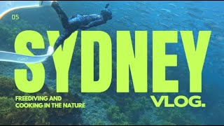 [シドニーVlog] Diving camp in Australia
