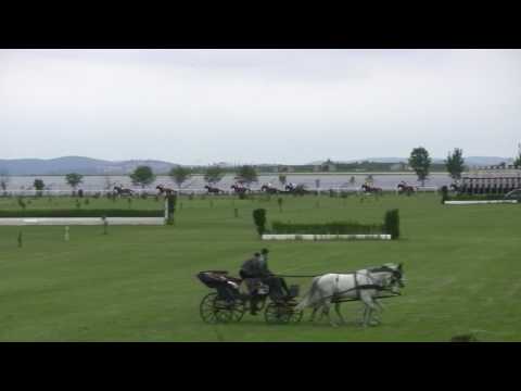 BR, 20. 5. 2017, 4. dostih - Cena GUILLERMA