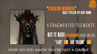 Stalking Madness - Fragmented Figments (w/lyrics)