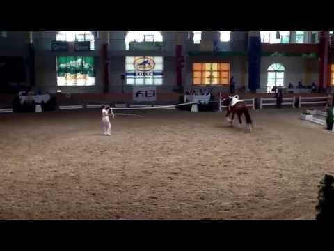 CVIO Stadl Paura 2014 - Katharina Luschin - Freestyle