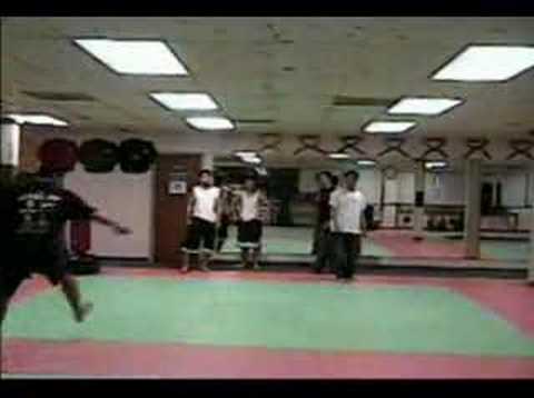 Training Sampler (May 18, 2004)