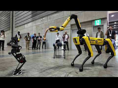 Bruce Review Video 4