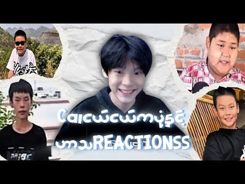 Caiငယ်ငယ်ပုံများနဲ့ဝိုင်းဂျင်းသောအခါ🤣