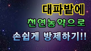 [텃밭농부.684]  대파밭에 손쉽게 천연농약으로 방제하기 #대파재배 #대파방제