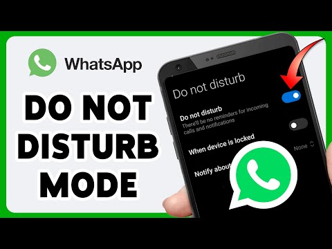 How To Put Do Not Disturb Mode On WhatsApp 2024 | WhatsApp DND Mode Tutorial