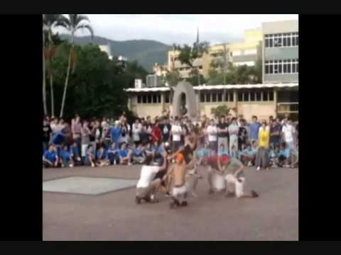 x trote integrado dança eletrica