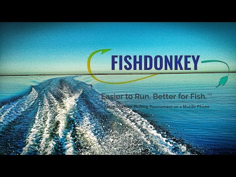 FishDonkey Video