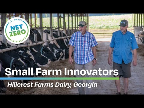 Simple Solid Liquid Manure Separation | Water Reuse on Dairy Farms | Hillcrest Farms (Dearing, GA)
