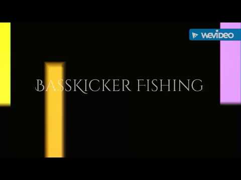 How Am I Missing These Fish?!