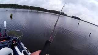 Воблер megabass - sr-x cyclone
