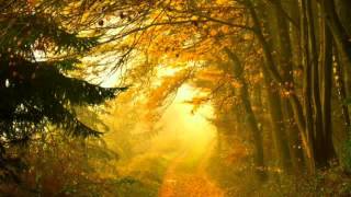 Jackie Evancho - Come With Me (Into The Misty Forest)