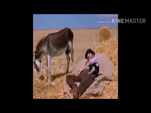 Funny Punjabi    top funny video   how can you check time without clock   YouTube