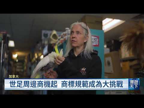 youtube影片