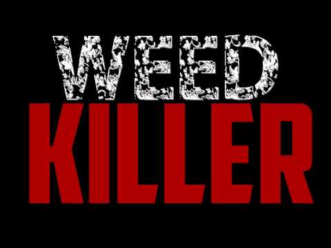 The Kills - Weed Killer