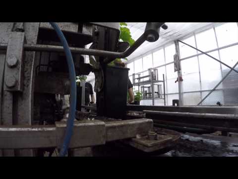 Ahlers Etikettiermaschine Ultrashall