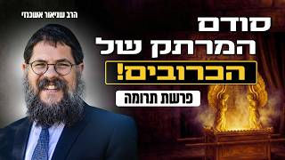 הרב שניאור אשכנזי - פרשת תרומה • לראות את השכינה: סודם של הכרובים (הרב שניאור אשכנזי) - התמונה מוצגת ישירות מתוך אתר האינטרנט יוטיוב. זכויות היוצרים בתמונה שייכות ליוצרה. קישור קרדיט למקור התוכן נמצא בתוך דף הסרטון