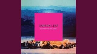 What Have You Learned?