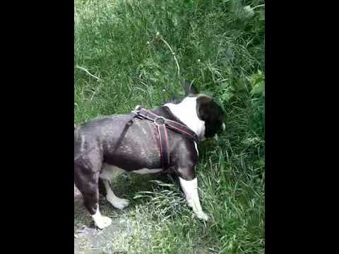 Idę prosto, nie biorę jeńców żadnych 😎